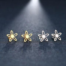 Load image into Gallery viewer, Stainless Steel Earrings - Blessed Be Boutique