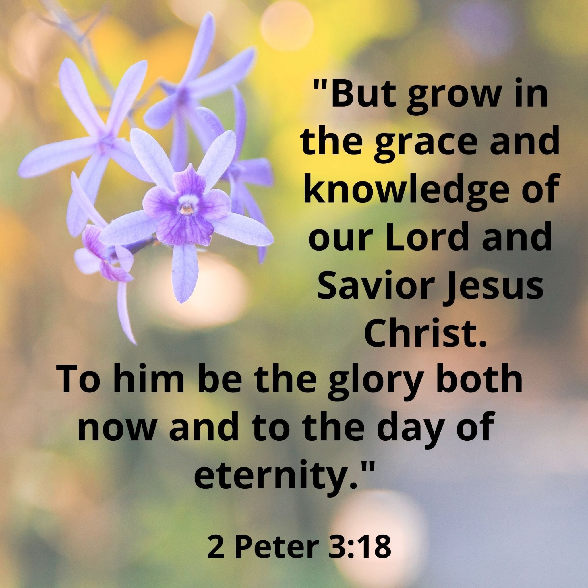 Growing In Grace