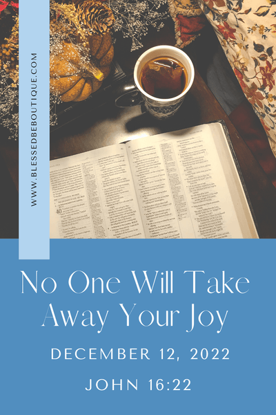 No One Will Take Away Your Joy