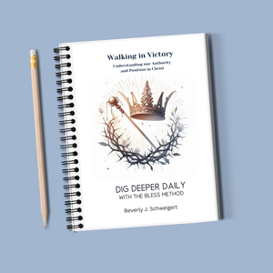 Dig Deeper Daily Past Edition Journals - Blessed Be Boutique