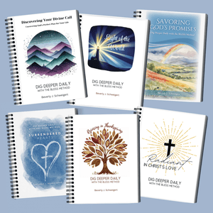 Dig Deeper Daily Past Edition Journals - Blessed Be Boutique