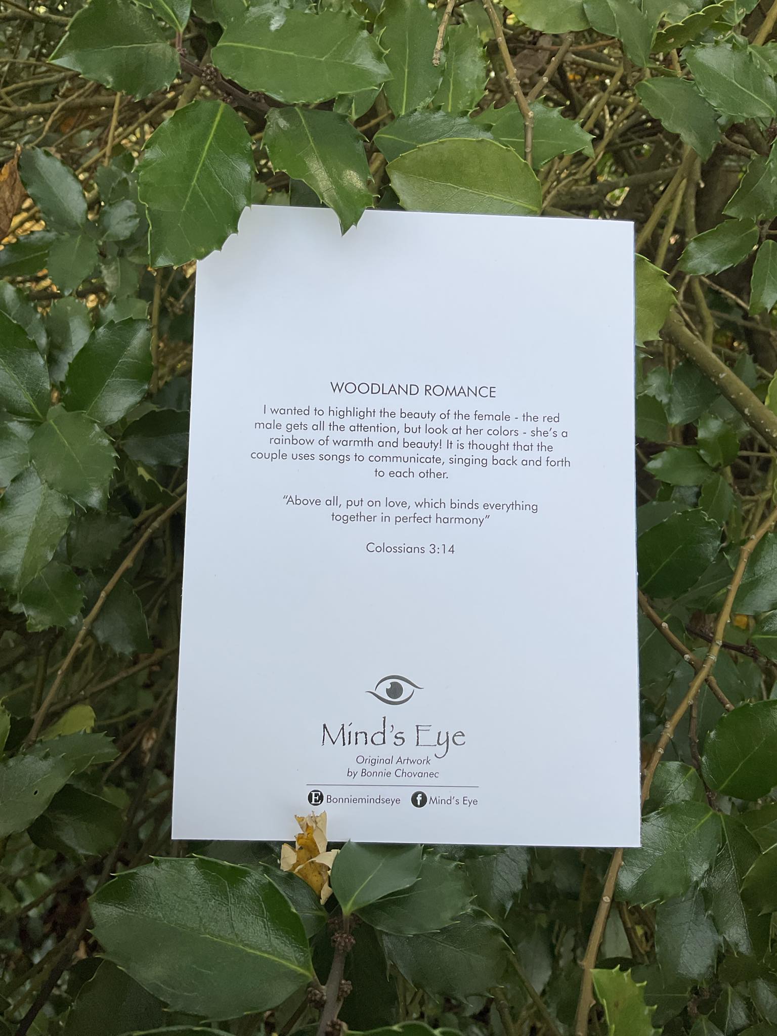 Original Artwork Gift Sets (Greeting Card, Postcard, & Sticker) - 8 Design Choices - Mind's Eye - Blessed Be Boutique