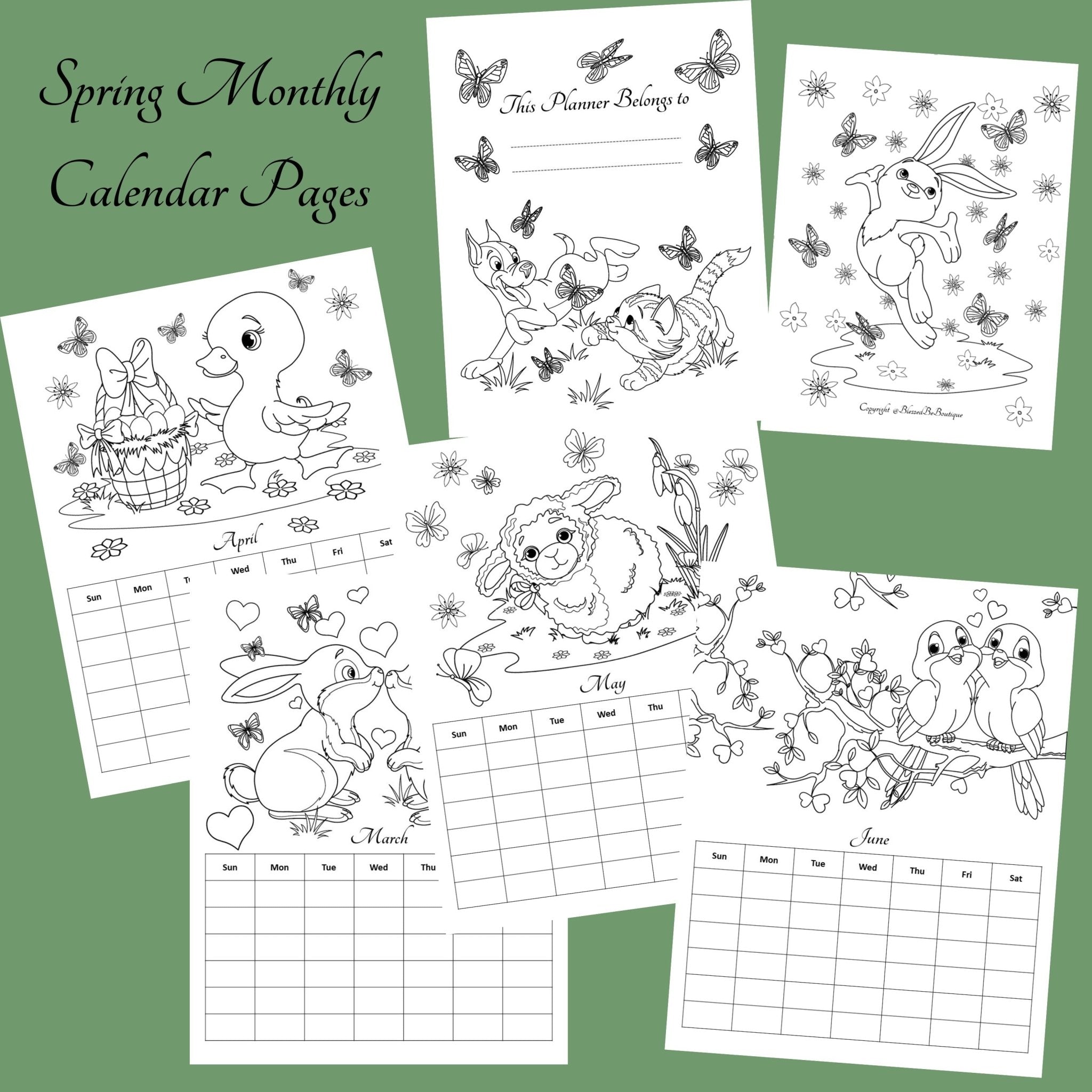 https://blessedbeboutique.com/cdn/shop/products/hello-spring-coloring-planner-626244_1024x1024@2x.jpg?v=1646342139
